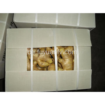 Shandong luftgetrockneter Ingwer mit bester Qualität